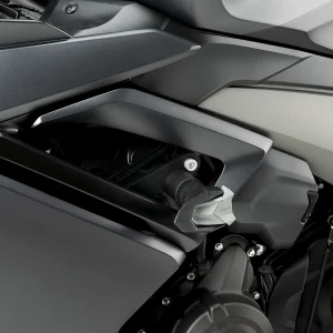 Protectores de Motor R19 - TRIUMPH DAYTONA 660