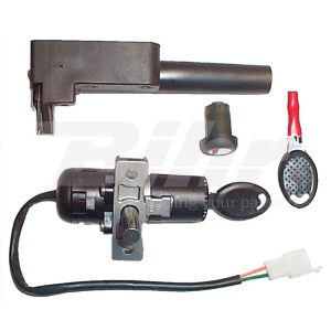 Protectores de Motor R19 - KTM 125 DUKE y otras